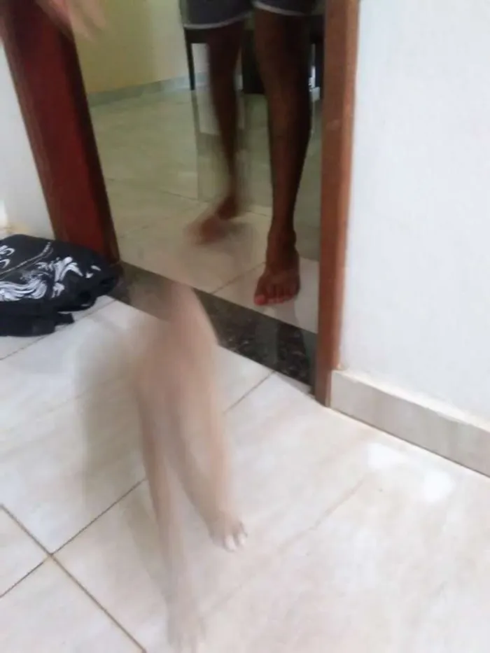 Cachorro raça Vira lata  idade  nome Sem nome 