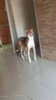 Lupita