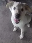 Marley