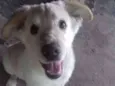 Marley