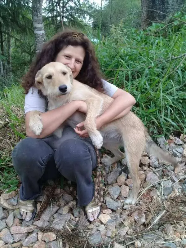 Cachorro ra a SRD idade 1 ano nome Vanylla