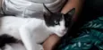 Mily