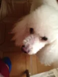Billy