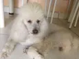 Billy