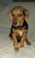 Axel