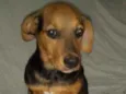 Axel