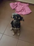 Lua