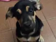 Lua