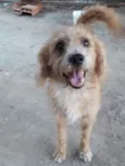 Bob