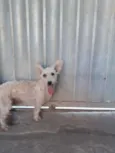 Billy