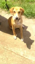 Mel