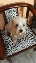 Peteka