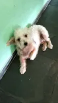 Peteka