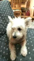 Peteka