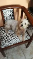 Peteka