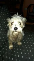 Peteka