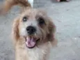Bob
