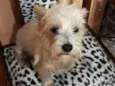 Peteka