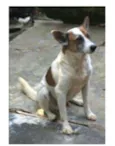 Sobradinho 