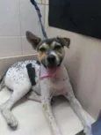 Amy