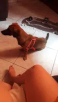 Isa