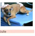Julie 
