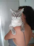 Netuno