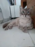 Netuno