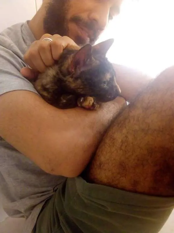 Gato ra a SRD idade 1 ano nome não demos um nome