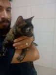 não demos um nome