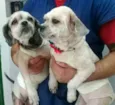 Bella e Lara 