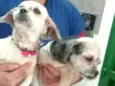 Bella e Lara 