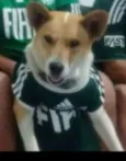 Tita
