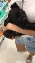Diguinho