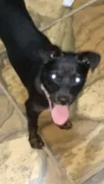 Peppa
