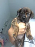 sem nomes ainda