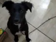 Bombom