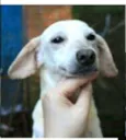 Ritinha