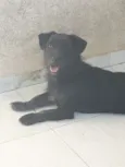 Bidu