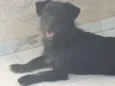 Bidu