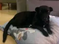 Nina
