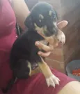 Billy
