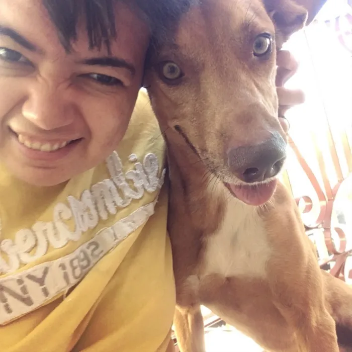 Cachorro ra a Vira lata  idade 2 anos nome Batata