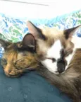 jhon e nina
