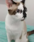 jhon e nina
