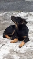 desconhecido