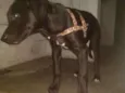 Não sei