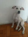 Mel