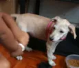Mel