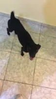 Princesa
